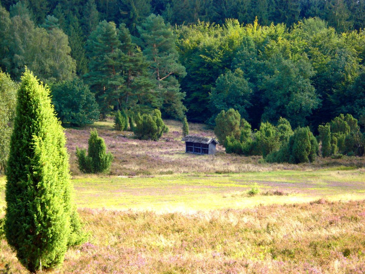 Landgasthaus Zum Naturschutzpark Hotel Bispingen Eksteriør billede