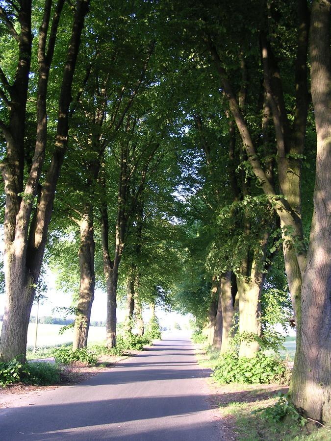 Landgasthaus Zum Naturschutzpark Bispingen Eksteriør billede