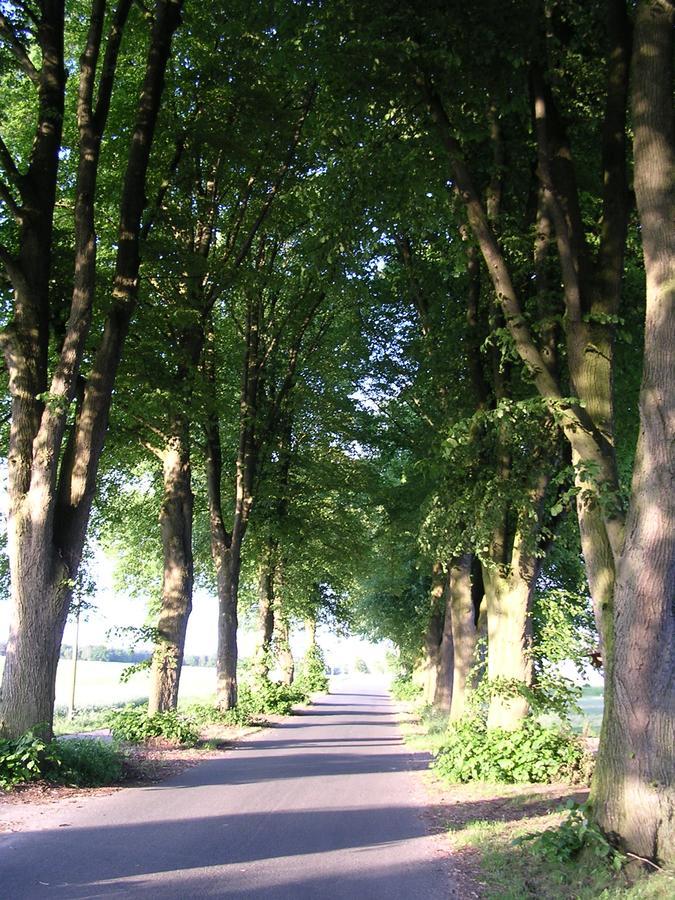 Landgasthaus Zum Naturschutzpark Hotel Bispingen Eksteriør billede